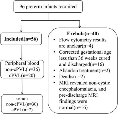 The association of γδT lymphocytes with cystic leukomalacia in premature infants
